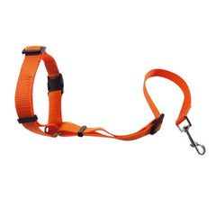 Pet Car Seat Belt Dog Seat Belt Dog Leash Traction Belts Cushioning Elastic Safety Rope Outdoor Traction Rope Dog Products - Wowza