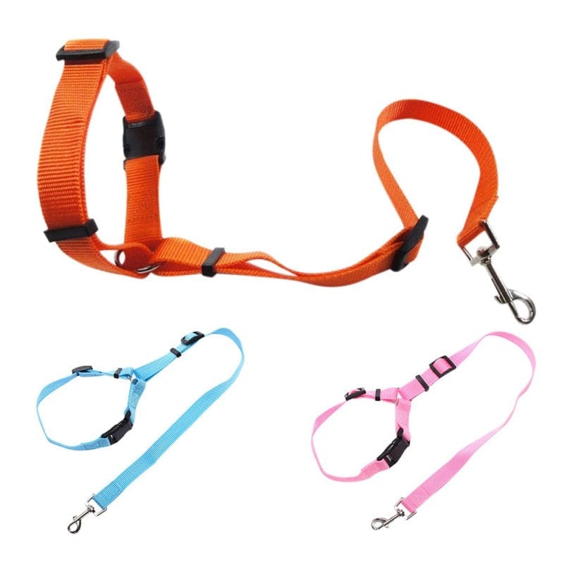 Pet Car Seat Belt Dog Seat Belt Dog Leash Traction Belts Cushioning Elastic Safety Rope Outdoor Traction Rope Dog Products - Wowza