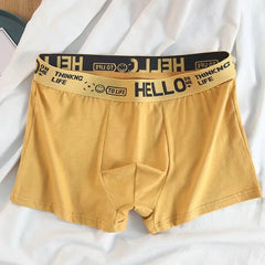 10Pcs/Men's Underwear Fashion Underwear High Stretch Boxer Shorts Breathable Soft Men's Shorts Comfortable Plus SizeL-4XL