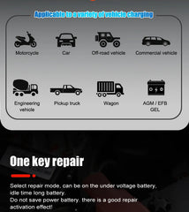 Battery Charger 12V/24V Smart Charger Lithium AGM GEL Lead-Acid LiFePO4 Battery Chargers