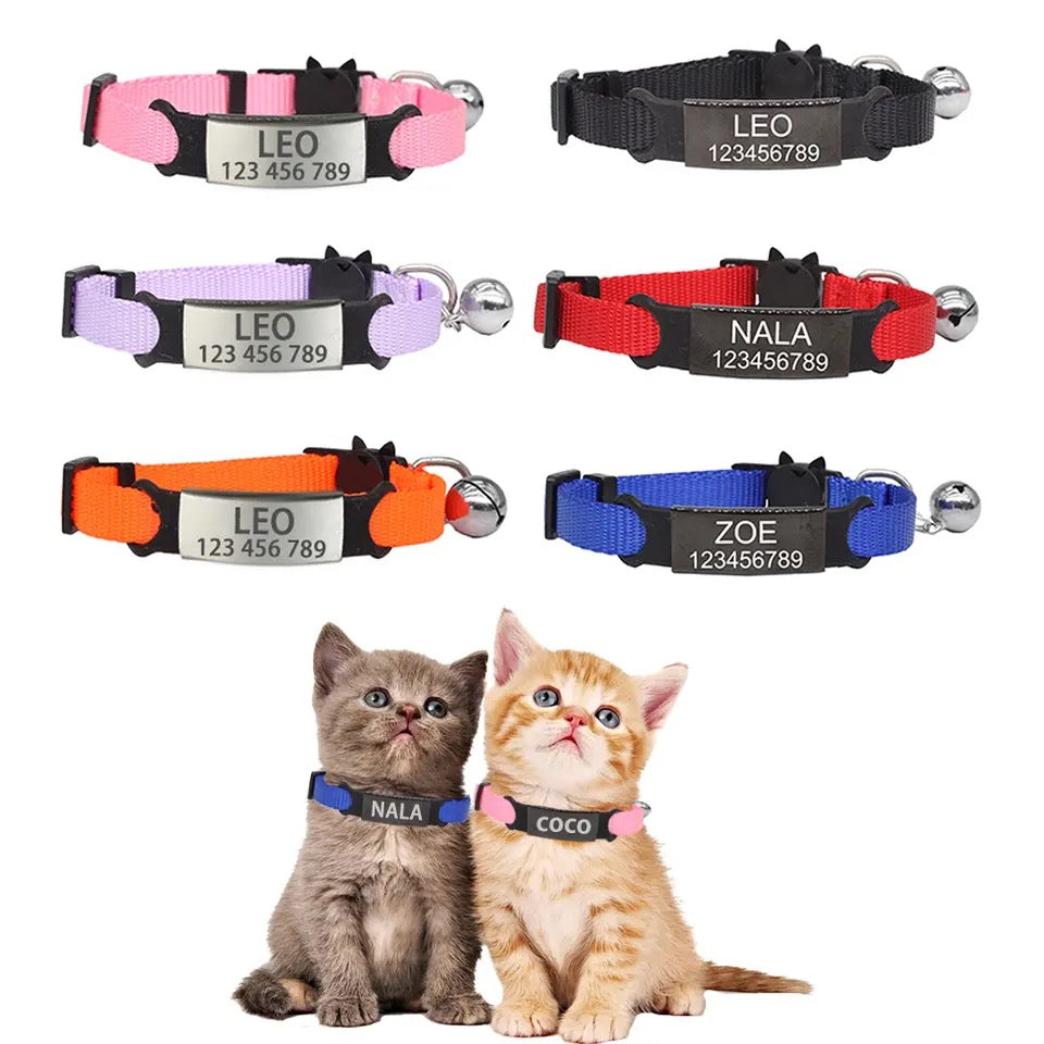 Pet Collars