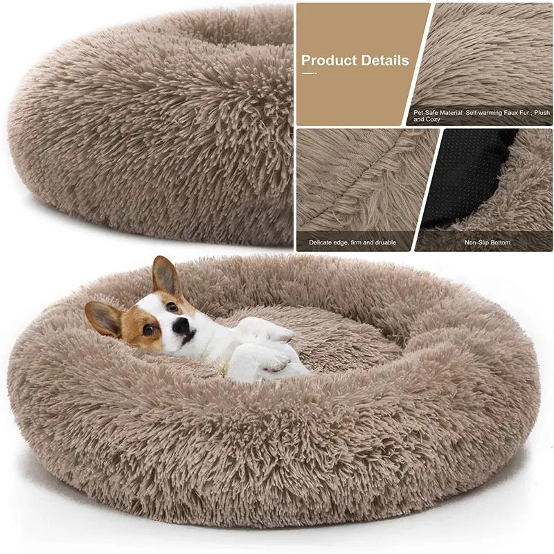 Pet Beds