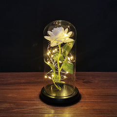 LED Enchanted Galaxy Rose Eternal 24K Gold Foil Flower with String Lights In Dome for Home Decor Christmas Valentine's Day Gift