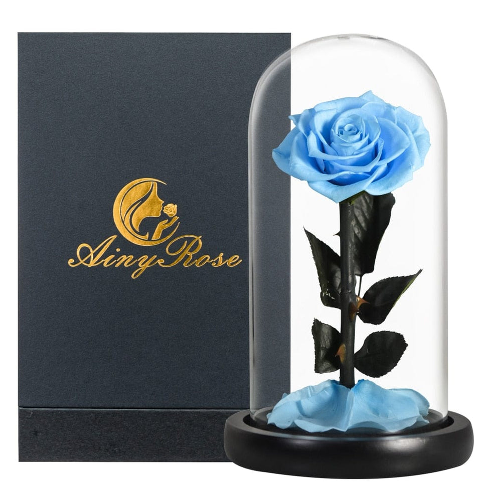 Eternal Preserved Roses In Glass Dome 5 Flower Heads Rose Forever Love Wedding Favor Mothers Day Gifts for Women Girlfriends