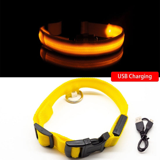 USB Charging/Battery replacement Led Dog Collar Anti-Lost Collar For Dogs Puppies Dog Collars Leads LED Supplies Pet Products - Wowza