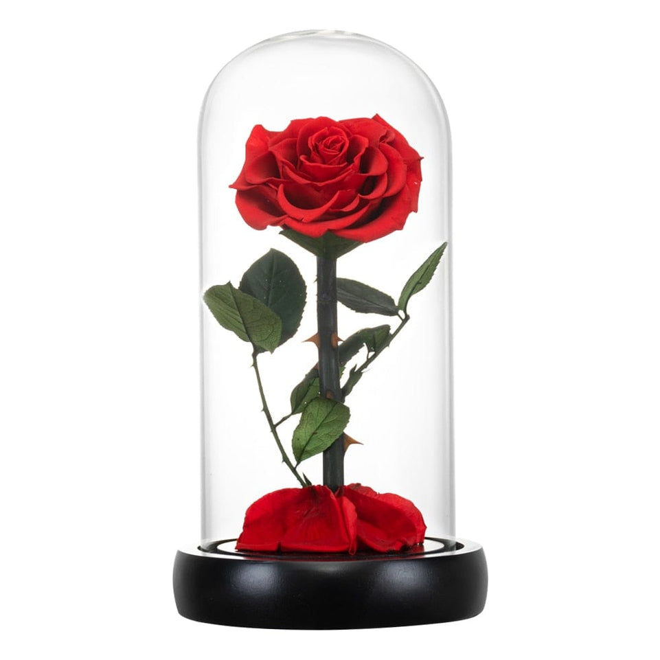 Eternal Preserved Roses In Glass Dome 5 Flower Heads Rose Forever Love Wedding Favor Mothers Day Gifts for Women Girlfriends