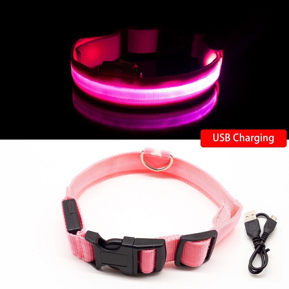 USB Charging/Battery replacement Led Dog Collar Anti-Lost Collar For Dogs Puppies Dog Collars Leads LED Supplies Pet Products - Wowza