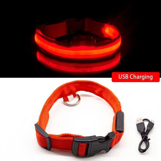 USB Charging/Battery replacement Led Dog Collar Anti-Lost Collar For Dogs Puppies Dog Collars Leads LED Supplies Pet Products - Wowza