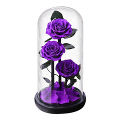 Eternal Preserved Roses In Glass Dome 5 Flower Heads Rose Forever Love Wedding Favor Mothers Day Gifts for Women Girlfriends