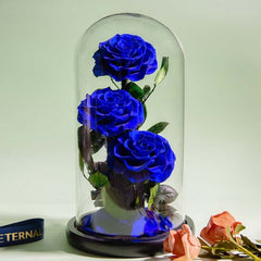 Eternal Preserved Roses In Glass Dome 5 Flower Heads Rose Forever Love Wedding Favor Mothers Day Gifts for Women Girlfriends