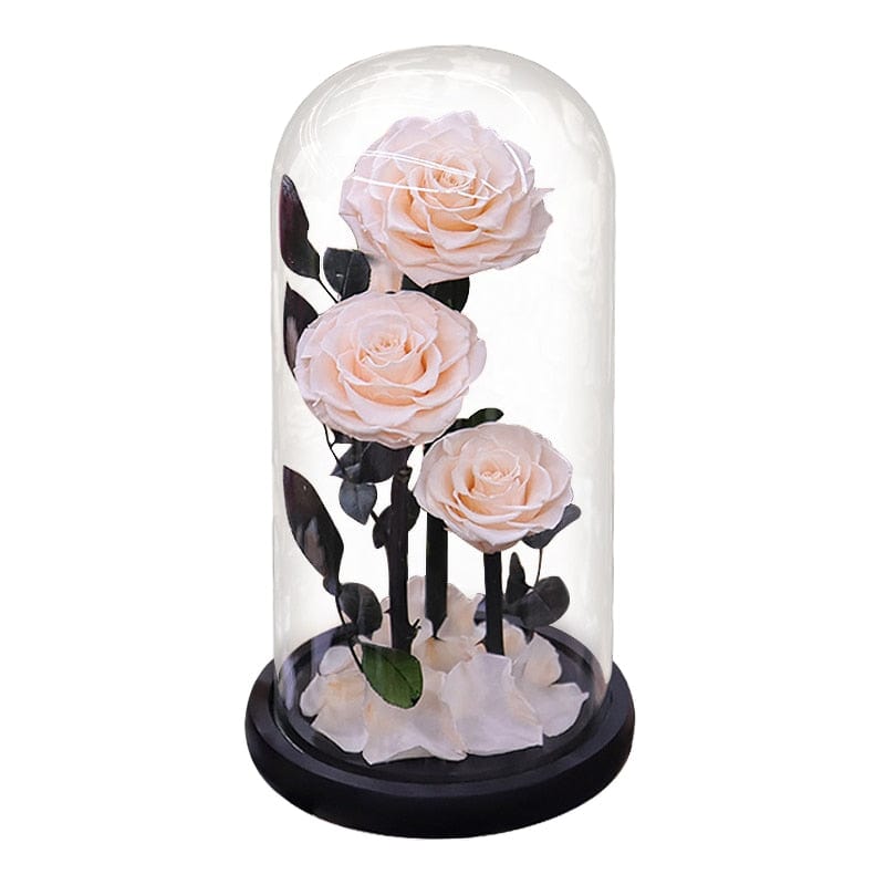 Eternal Preserved Roses In Glass Dome 5 Flower Heads Rose Forever Love Wedding Favor Mothers Day Gifts for Women Girlfriends