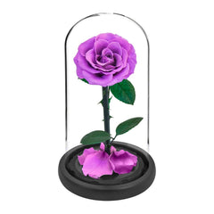 Eternal Preserved Roses In Glass Dome 5 Flower Heads Rose Forever Love Wedding Favor Mothers Day Gifts for Women Girlfriends