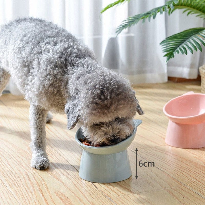45°Neck Protector Cat Bowl High Foot Dog Bowl Cat Food Water Bowl PP Material Anti-overturning Binaural Pet Feeding Feeder Bowl