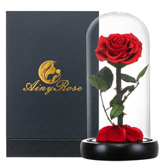 Eternal Preserved Roses In Glass Dome 5 Flower Heads Rose Forever Love Wedding Favor Mothers Day Gifts for Women Girlfriends