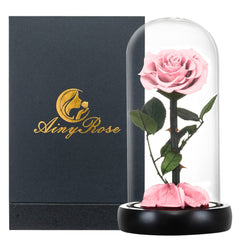 Eternal Preserved Roses In Glass Dome 5 Flower Heads Rose Forever Love Wedding Favor Mothers Day Gifts for Women Girlfriends