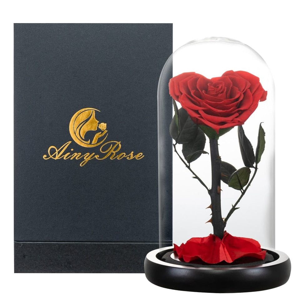 Eternal Preserved Roses In Glass Dome 5 Flower Heads Rose Forever Love Wedding Favor Mothers Day Gifts for Women Girlfriends