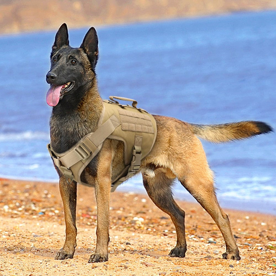 Tactical Dog Harness Pet Military Training Dog Vest German Shepherd Dog Harness Molle Vest For Medium Large Dogs