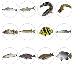 Japanese Minnow Fishing Lures Floating Hard Bait95mm 7g Artificial Bait Wobbler Crank bait Carp Perch Fishing Tackle