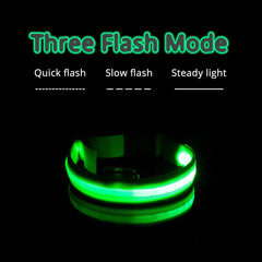 USB Charging/Battery replacement Led Dog Collar Anti-Lost Collar For Dogs Puppies Dog Collars Leads LED Supplies Pet Products - Wowza