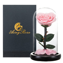 Eternal Preserved Roses In Glass Dome 5 Flower Heads Rose Forever Love Wedding Favor Mothers Day Gifts for Women Girlfriends