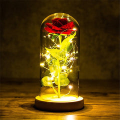 LED Enchanted Galaxy Rose Eternal 24K Gold Foil Flower with String Lights In Dome for Home Decor Christmas Valentine's Day Gift