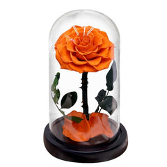 Eternal Preserved Roses In Glass Dome 5 Flower Heads Rose Forever Love Wedding Favor Mothers Day Gifts for Women Girlfriends