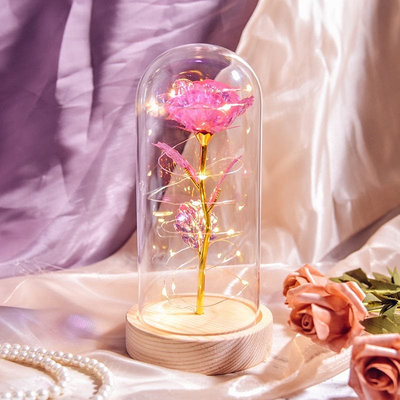 Gifts for Women Beauty and The Beast Preserved Roses In Glass Galaxy Rose LED Light Artificial Flower Birthday Gift for Girls