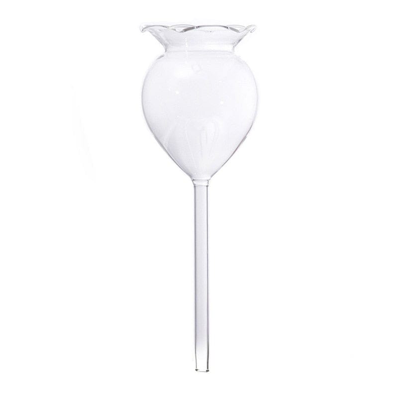 Houseplant Automatic Self Watering Glass Bird Watering Cans Flowers Plant Decorative Clear Glass Watering Device 12 Shapes