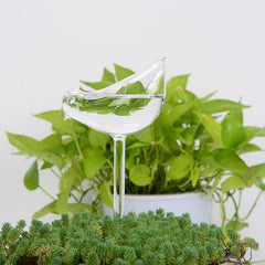 Houseplant Automatic Self Watering Glass Bird Watering Cans Flowers Plant Decorative Clear Glass Watering Device 12 Shapes