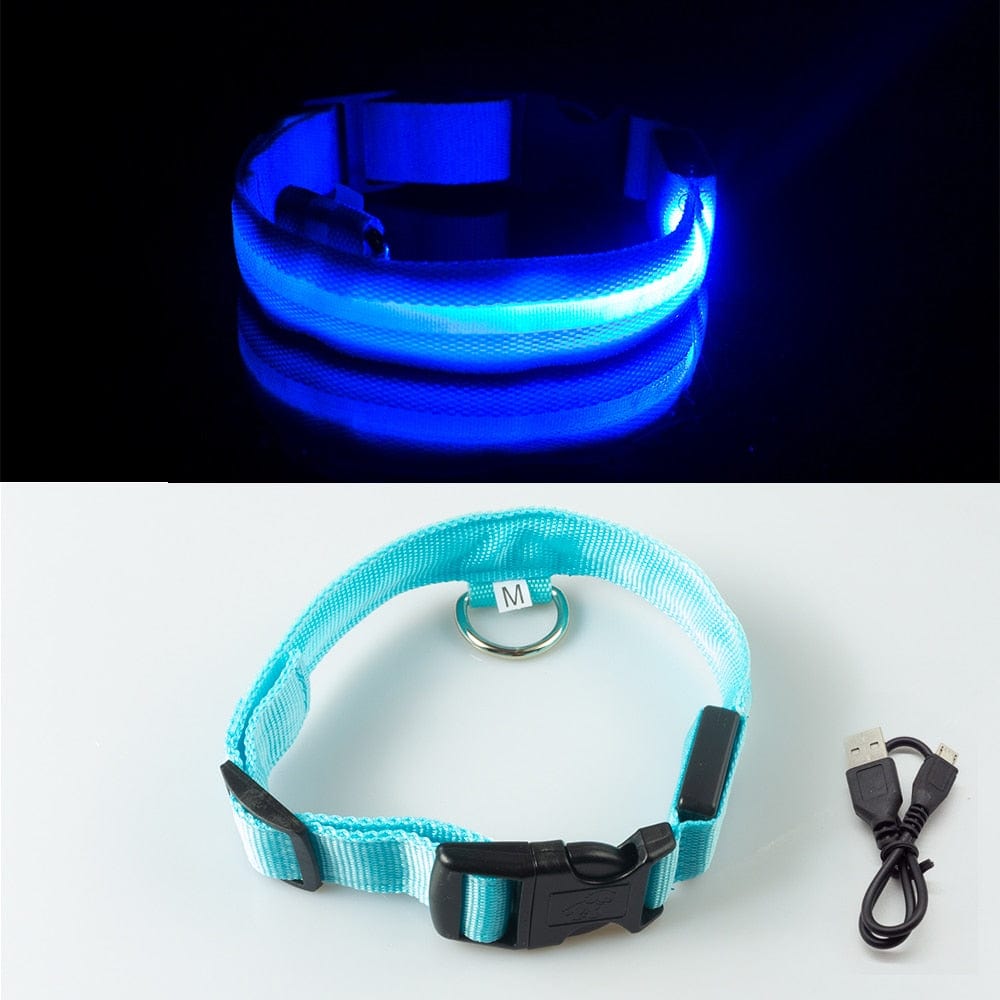 USB Charging/Battery replacement Led Dog Collar Anti-Lost Collar For Dogs Puppies Dog Collars Leads LED Supplies Pet Products - Wowza