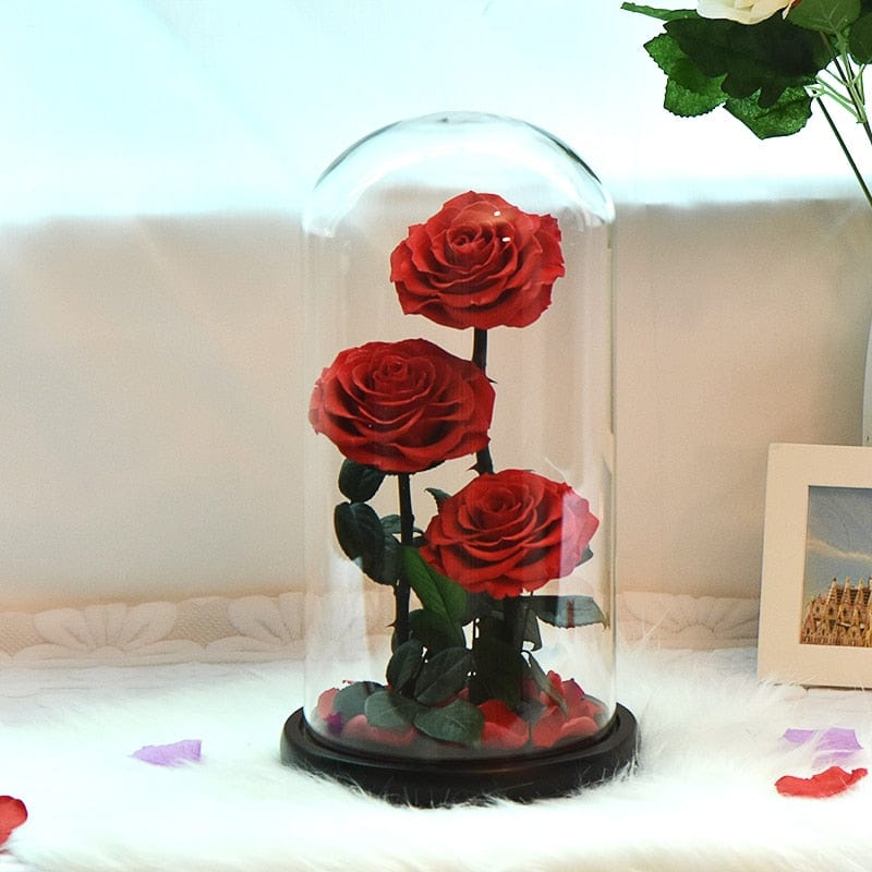 Eternal Preserved Roses In Glass Dome 5 Flower Heads Rose Forever Love Wedding Favor Mothers Day Gifts for Women Girlfriends