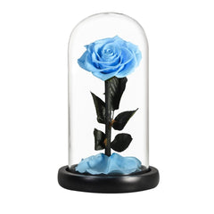 Eternal Preserved Roses In Glass Dome 5 Flower Heads Rose Forever Love Wedding Favor Mothers Day Gifts for Women Girlfriends