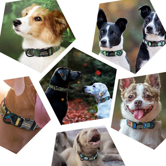 Personalized Dog Collar Leash Custom Puppy Pet Collar Pitbull Collars Pet Product Small Dog Collar for Small Medium Large Dog - Wowza