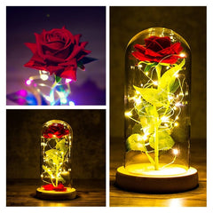 LED Enchanted Galaxy Rose Eternal 24K Gold Foil Flower with String Lights In Dome for Home Decor Christmas Valentine's Day Gift