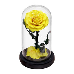 Eternal Preserved Roses In Glass Dome 5 Flower Heads Rose Forever Love Wedding Favor Mothers Day Gifts for Women Girlfriends