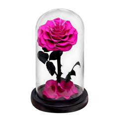 Eternal Preserved Roses In Glass Dome 5 Flower Heads Rose Forever Love Wedding Favor Mothers Day Gifts for Women Girlfriends