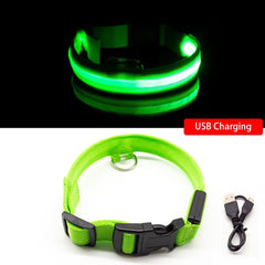 USB Charging/Battery replacement Led Dog Collar Anti-Lost Collar For Dogs Puppies Dog Collars Leads LED Supplies Pet Products - Wowza