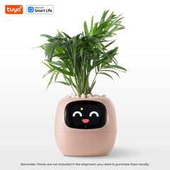 The Tuya Ivy Smart Planter