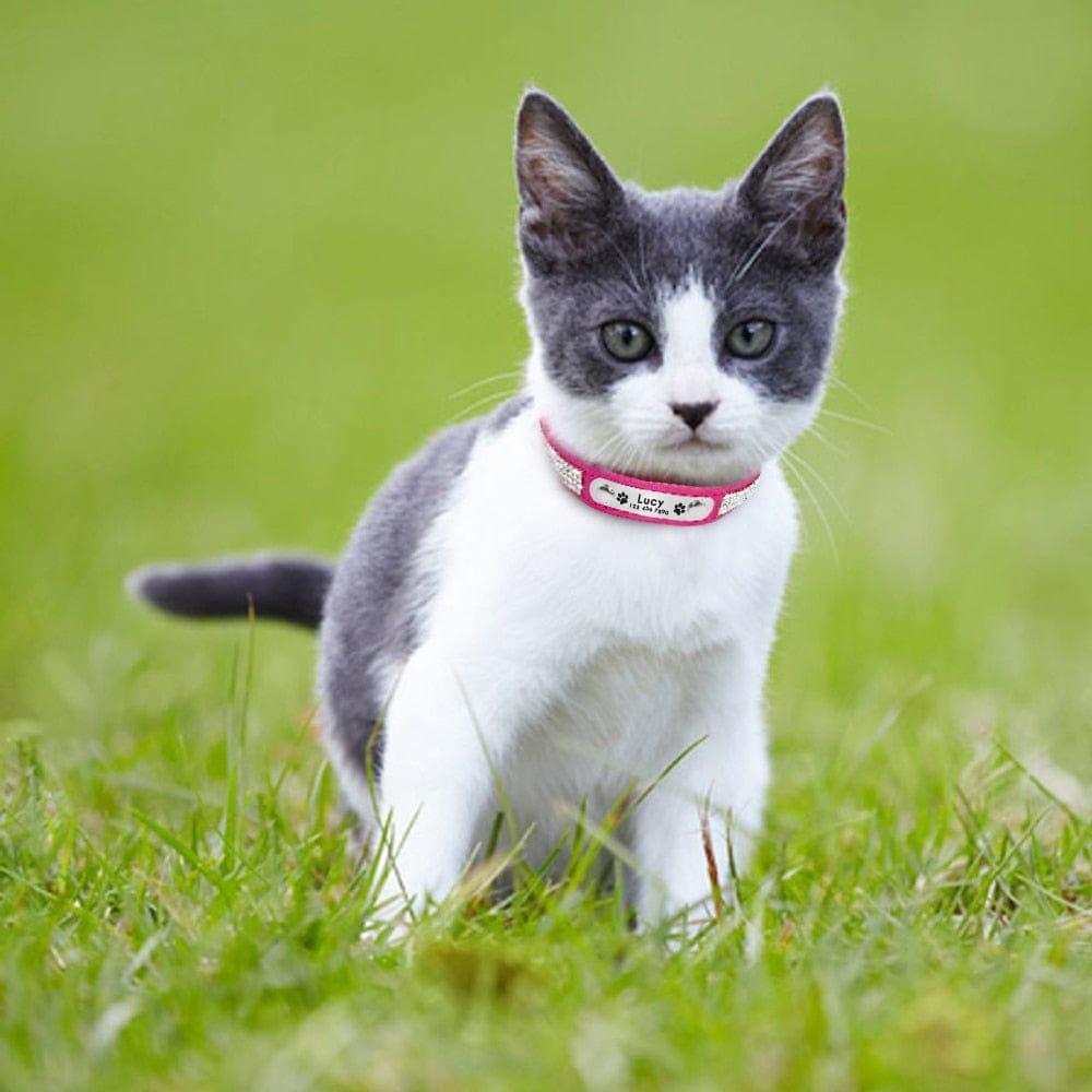 Leather Cat Collar Personalized Cat Collar For Puppy Small Dogs Pet Kitten Nameplate Collar Free Engraving Adjustable - Wowza