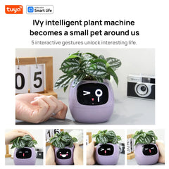 The Tuya Ivy Smart Planter