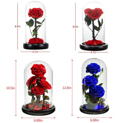 Eternal Preserved Roses In Glass Dome 5 Flower Heads Rose Forever Love Wedding Favor Mothers Day Gifts for Women Girlfriends