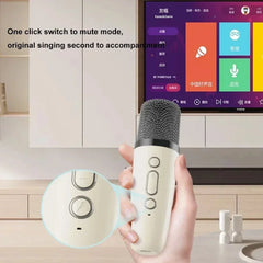 Karaoke Machine Portable 5.3 PA Speaker System with 1-2 Wireless Microphones Home Family Singing Children's Gifts