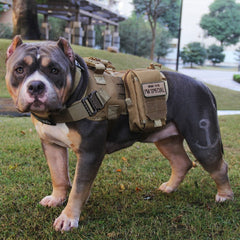 Tactical Dog Vest Military Hunting Shooting Cs Army Fan Service Nylon Pet Vests Airsoft Training Molle Dogs Harness