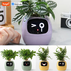 The Tuya Ivy Smart Planter