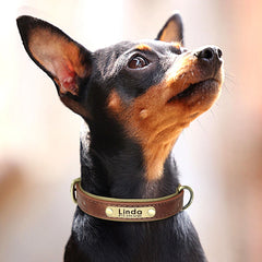 Custom Leather Dog Collar Soft Padded Dog Collars Personalized Pet ID Necklace Free Engraved Name Paw For Small Medium Dogs Pug