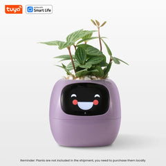 The Tuya Ivy Smart Planter