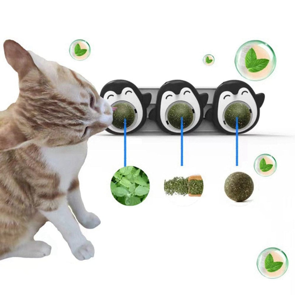 Natural Catnip Toys For Cats Healthy Cat Toys Promote Gastric For Kitten Edible Treating Cat Candy Licking Snacks Cat Supplies - Wowza