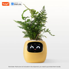 The Tuya Ivy Smart Planter