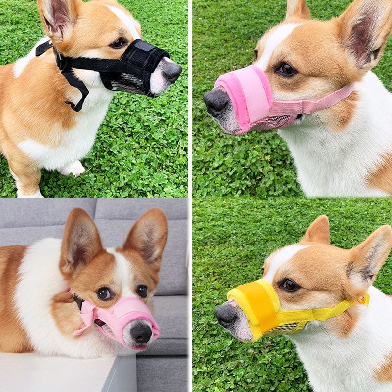 Adjustable Anti Barking Pet Dog Muzzle For Small Large Dogs Mask Muzzles Stop Biting Barking Nylon Straps Pet Dog Accessories - Wowza
