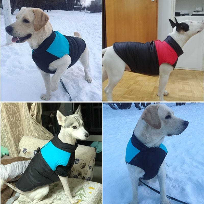 Padded Winter Warm Dog Clothes Waterproof Pet Vest Zipper Jacket For Small Medium Large Dogs Pug Chihuahua French Bulldog Coat - Wowza